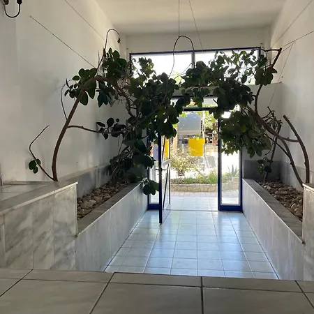 Ammos * Kallithea (Chalkidiki)